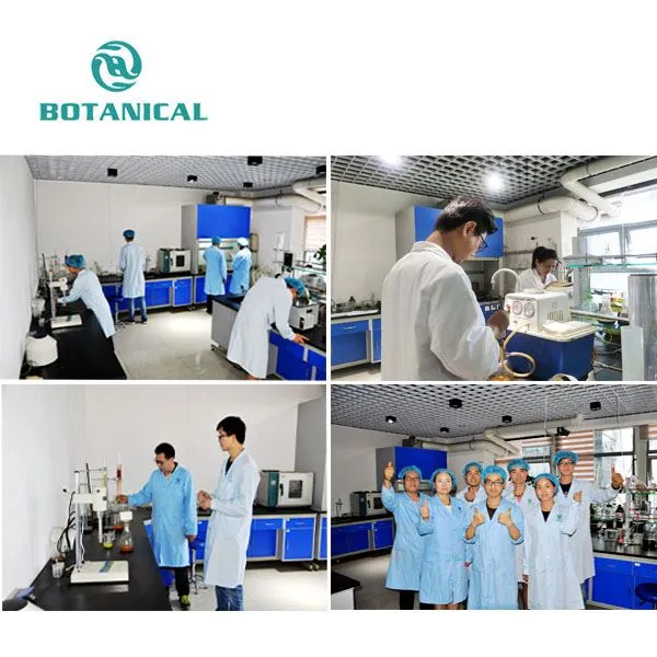 Magnolia Bark Extract Powder