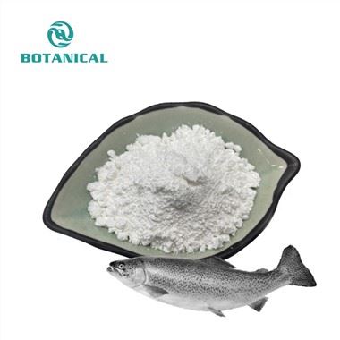 Fischkollagenpulver