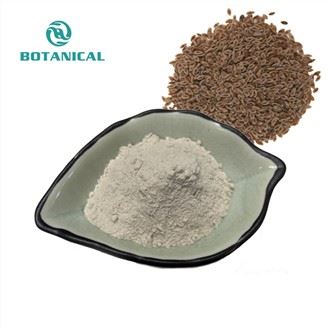 Psylliumschalenpulver