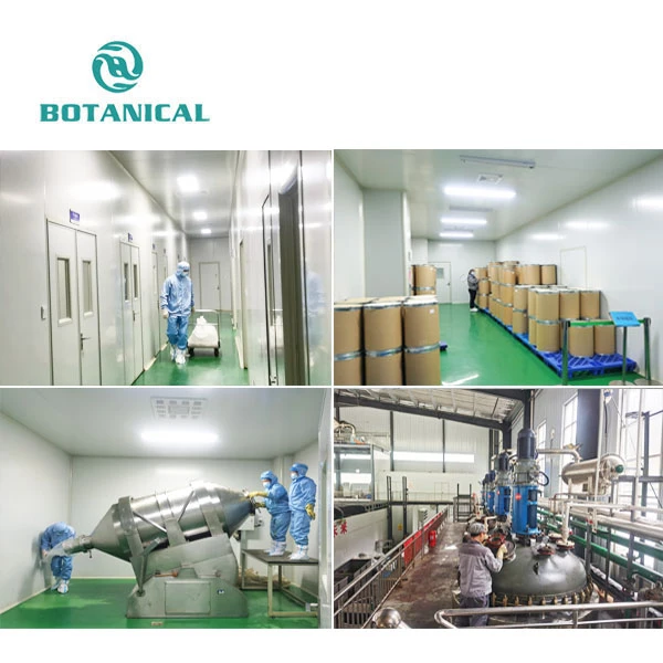 Sodium Hyaluronate Powder