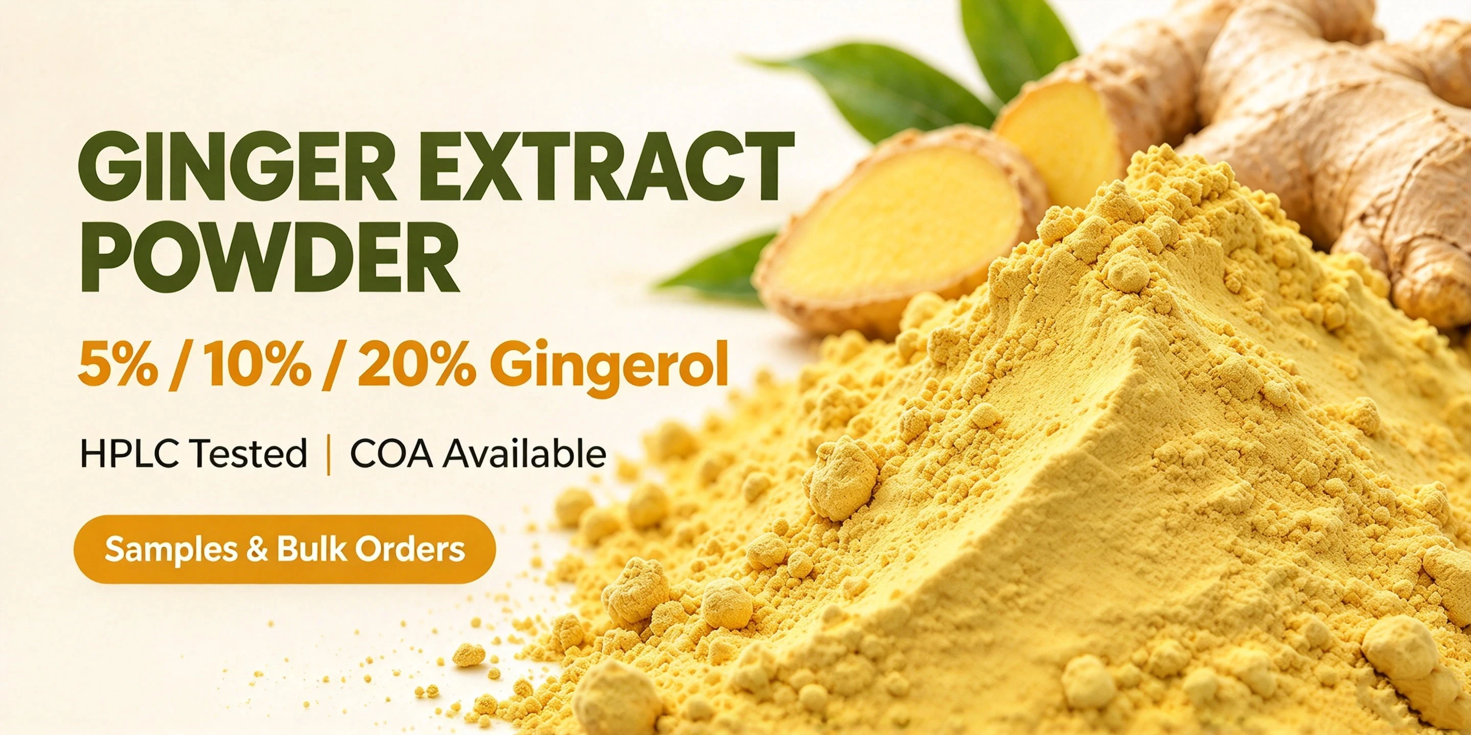 Pure Ginger Extract Gingerol Powder - Botanical Cube Inc