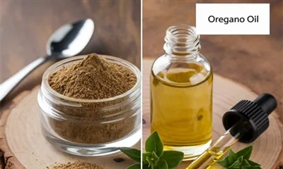 Was ist der Unterschied zwischen Oregano-Extrakt und Öl?