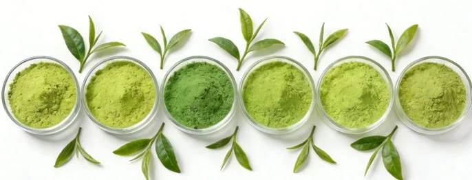 Organic Matcha Powder different grade Organic Matcha Powder different grade